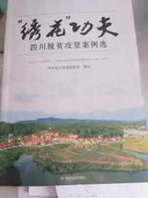 “绣花”功夫——四川脱贫攻坚案例选