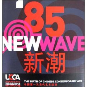 85新潮：'85 NEW WAVE:THE BIRTH OF CHINESE CONTEMPORARY ART