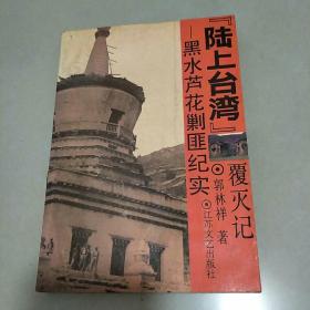 “陆上台湾”覆灭记:黑水芦花剿匪纪实