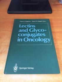 Lectins and Glycoconjugates in Oncology（肿瘤细胞中的凝集素和糖复合物）原版英文