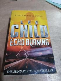 Echo Burning (Jack Reacher 05)