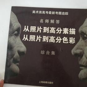 美术类高考最新考题追踪:名师解答.从照片到高分素描 从照片到高分色彩:综合集