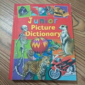 Junior Picture Dictionary（原版英文）