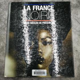 La France noire 法文