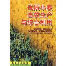 小麦种植技术书籍 优质小麦高效生产与综合利用