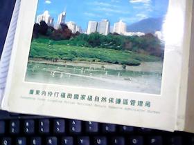 明信片人与自然和谐发展:优美红树林 鹭鸟筑家园(12张)全 一版一印