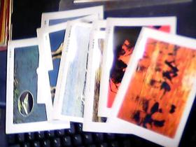 明信片人与自然和谐发展:优美红树林 鹭鸟筑家园(12张)全 一版一印