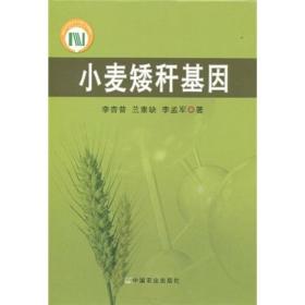 小麦种植技术书籍 小麦矮秆基因