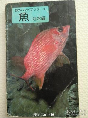 鱼 海水编 海洋 动物 画册 画报 画集
