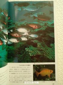 鱼 海水编 海洋 动物 画册 画报 画集
