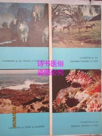 Looking at the Higher Forms of Life 、Looking at the Simple Forms of Life、Looking at Life on Earth 、Looking at the Ways of Nature 4册合售