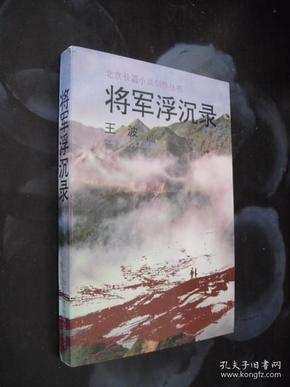 将军浮沉录.