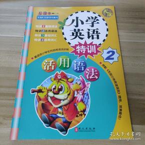 无敌小学英语系列·无敌小学英语特训2：活用语法（专为8-12岁学生编写）