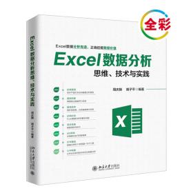 Excel数据分析思维、技术与实践