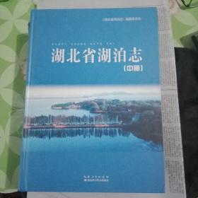 湖北省湖泊志(上中下)