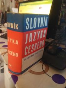 SLOVNIK LAZYKA CESKEH0