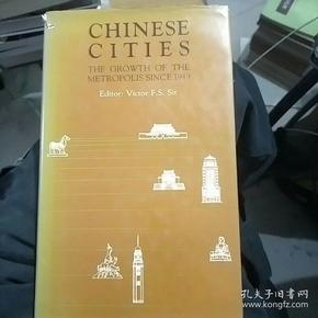 chinese cities the growth of the metropolis since 1949