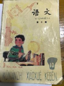 语文第10册，1988年4月，孔网初见