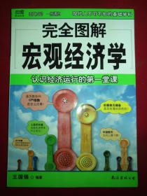 完全图解宏观经济学：破解经济整体运行的奥秘