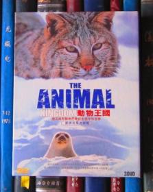 DVD-动物王国——睦五郎和动物们寻找生命中的故事 The Animal Kingdom（3D5）