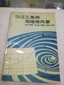 珠江三角洲 局地强风暴