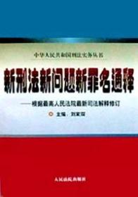 新刑法新问题新罪名通释 : 根据全国人大常委会刑法修正案和“两高”最新司法解释编写