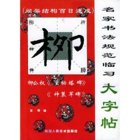 【高温消毒 塑封发货】名家书法规范临习大字帖：柳公权《玄秘塔碑》