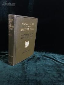 动物图鉴 《ANIMAL LIFE OF THE BRITISH ISLES》【英文精装古董书】，精美插图【货号K0012】