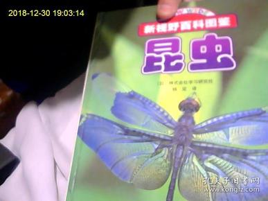 新视野百科图鉴：昆虫（高质量纸张。彩图多多。印刷精美。了解昆虫世界。大开眼界）