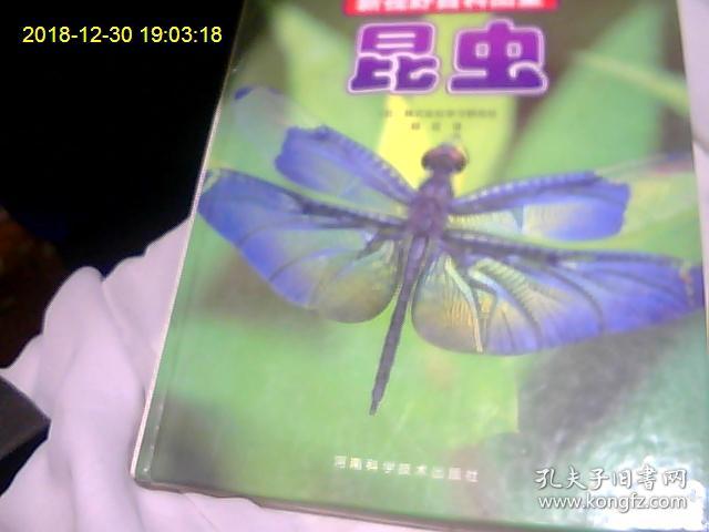 新视野百科图鉴：昆虫（高质量纸张。彩图多多。印刷精美。了解昆虫世界。大开眼界）