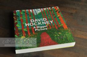 国内现货 实物拍摄【绝版图书 2012年一版一印 《David Hockney : A Bigger Picture 》以绘画、拼接照片、素描、甚至包括最新的iPad作品，其中许多之前从未展出——此书堪称大卫霍克尼最有里程碑意义的出版物】◆超大开本30 x 28 x 3 cm   厚304页 净重4斤  ★无笔迹划痕 保证英文原版