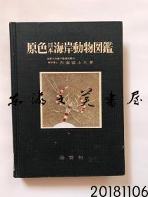 日文原版/原色日本海岸动物图鉴/保育社/1956年/内海富士夫/大32开/馆藏图书/裸本