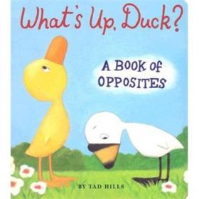 现货 What's Up, Duck?:A Book of Opposites (Duck & Goose)