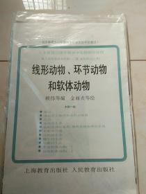 线形动物环节动物和软体动物。挂图全11幅 蛔虫 钩虫，蚯蚓的生态 水质和沙蚕。河蚌，蜗牛，乌贼，其他软体动物等。