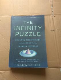 THE INFINITY PUZZLE FRANK CLOSE