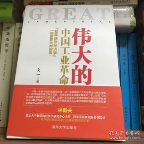 伟大的中国工业革命：“发展政治经济学”一般原理批判纲要