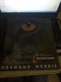 cat watching desmond morris猫看着德斯蒙德·莫里斯