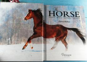 The Horse: Passion, Beauty, Splendor, Strength