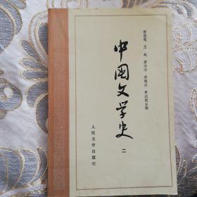 中国文学史（二）