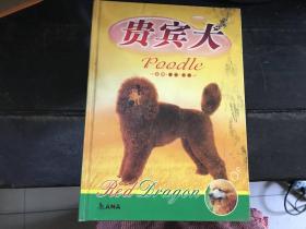 贵宾犬