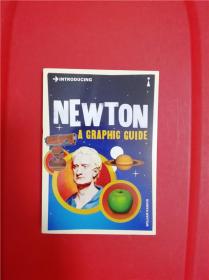 Introducing Newton: A Graphic Guide