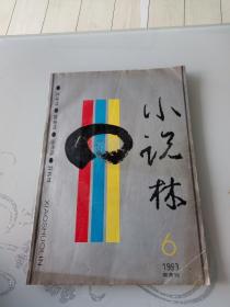 小说林1993年第6期