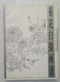 菊花白描画谱