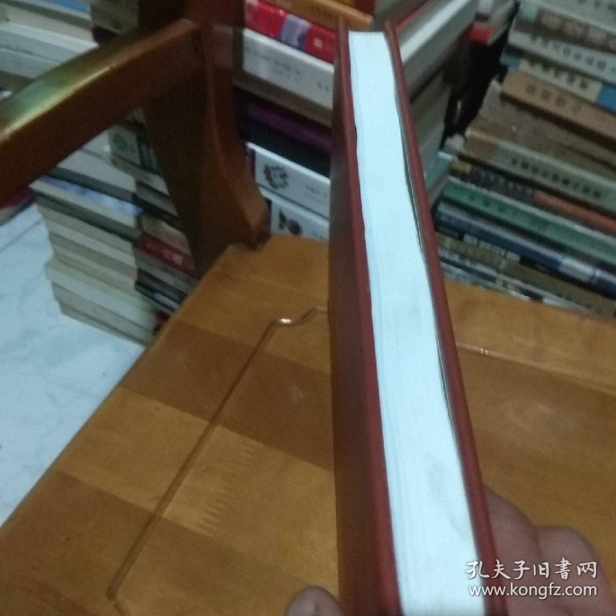 稻城县人大志