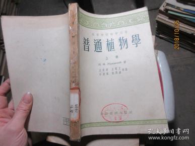 普通植物学 上  3123