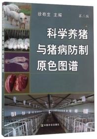 养猪技术书籍 科学养猪与猪病防制原色图谱（第2版）