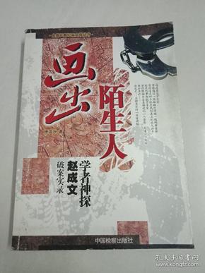 画出陌生人：学者神探赵成文破案实录