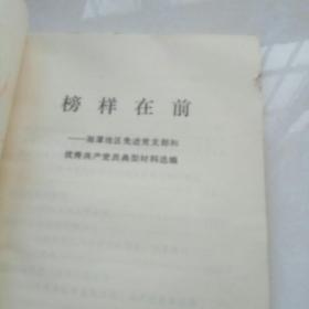 榜样在前-----湘潭地区先进党支部和优秀共产党典型材料选编    1982年