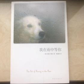 我在雨中等你