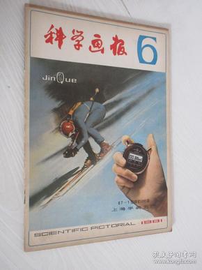 科学画报 1981年第6期